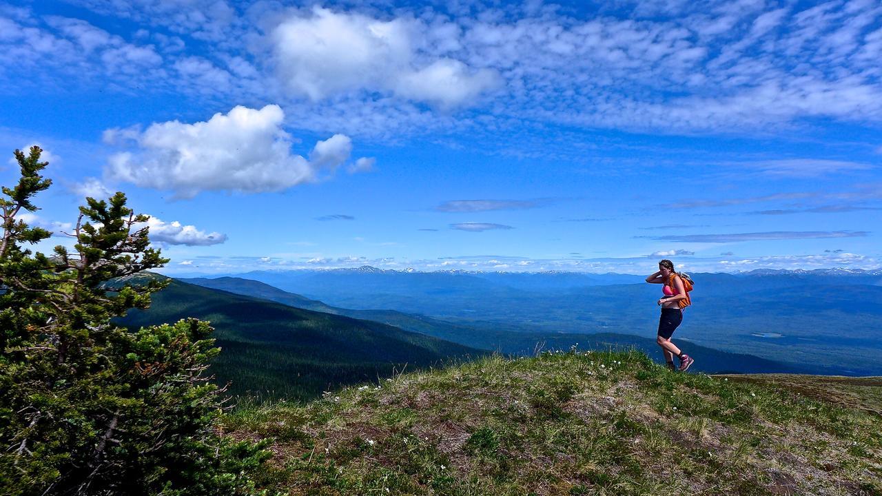 Bear Claw Lodge Kispiox Екстер'єр фото