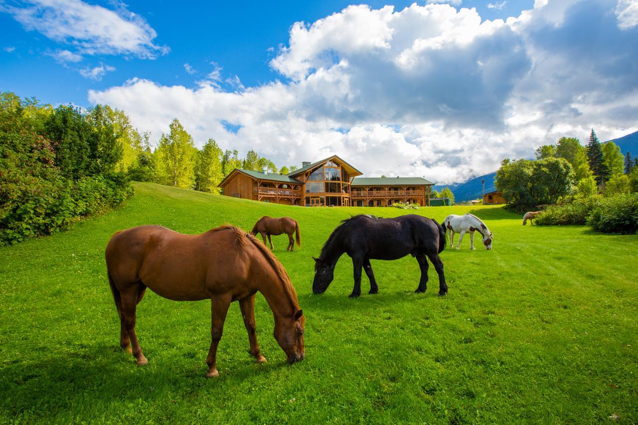 Bear Claw Lodge Kispiox Екстер'єр фото