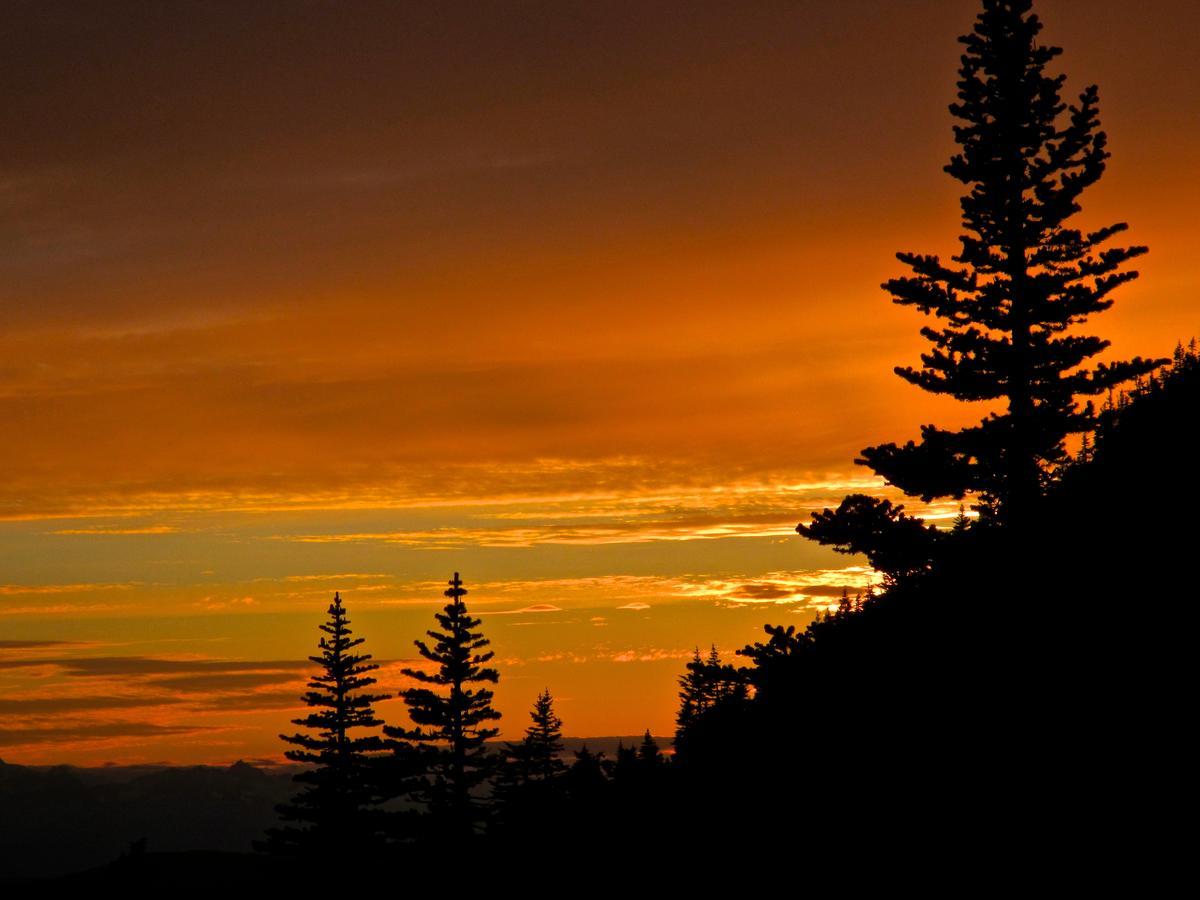 Bear Claw Lodge Kispiox Екстер'єр фото