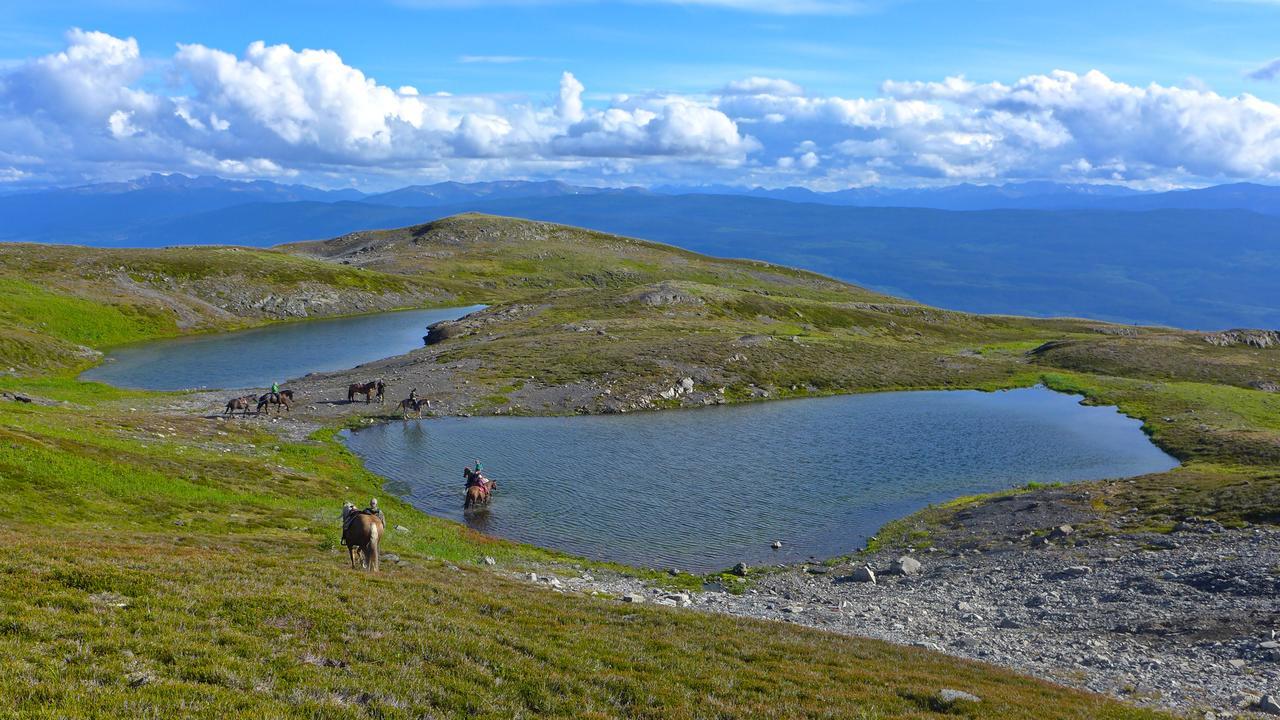 Bear Claw Lodge Kispiox Екстер'єр фото