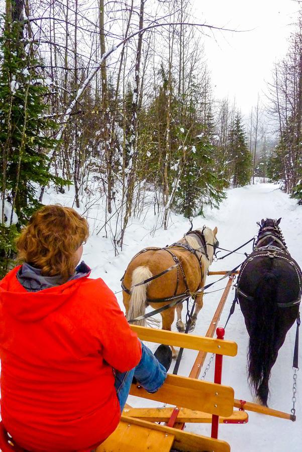 Bear Claw Lodge Kispiox Екстер'єр фото