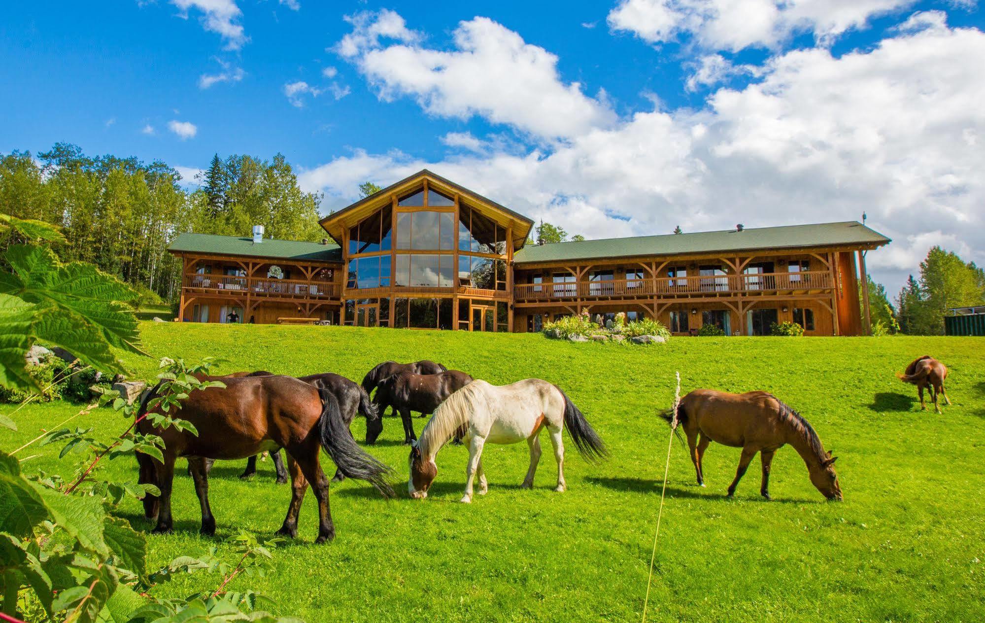 Bear Claw Lodge Kispiox Екстер'єр фото
